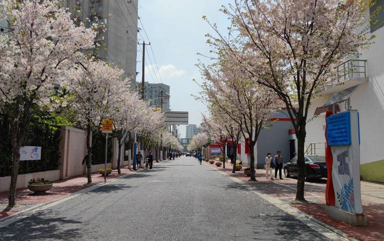 静安区这个街道一条街覆盖养老服务打造居民生活幸福圈