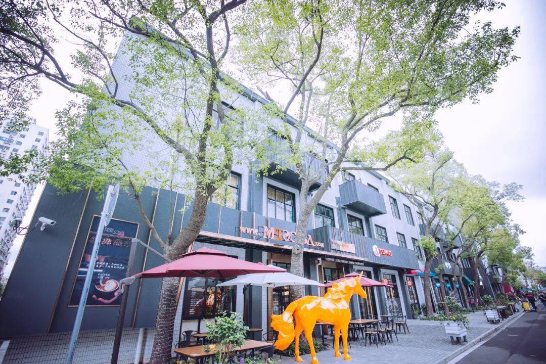 优化营商环境丨人勤春来早杨浦营商环境暖意融融