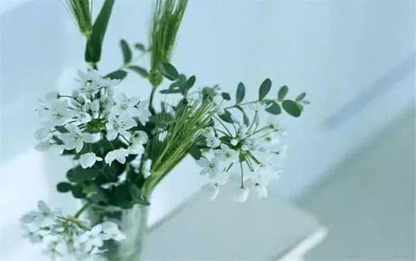 张怡微新的自己