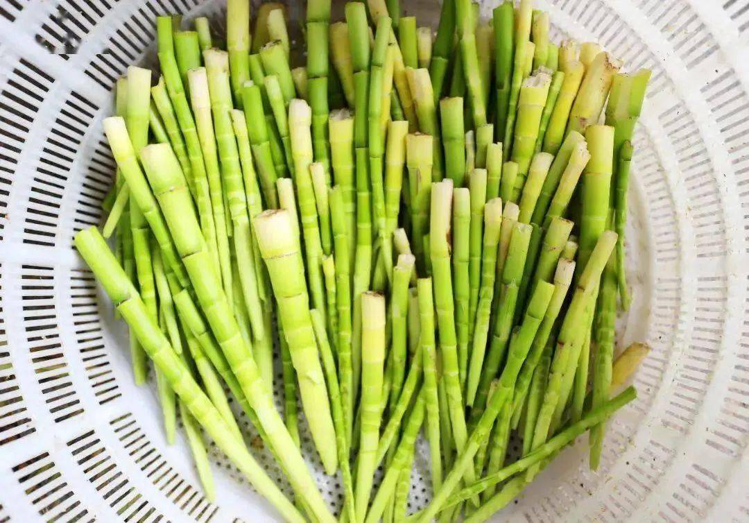 这口"春日鲜嫩",长寿之乡桐庐有谁不爱?!_青笋_笋干_辣椒