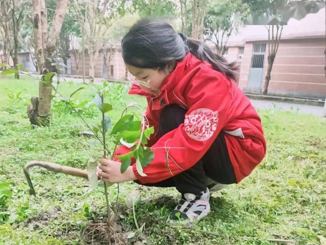 植树添新绿