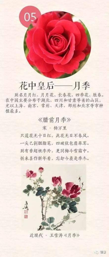 美女赏花现代诗词图片