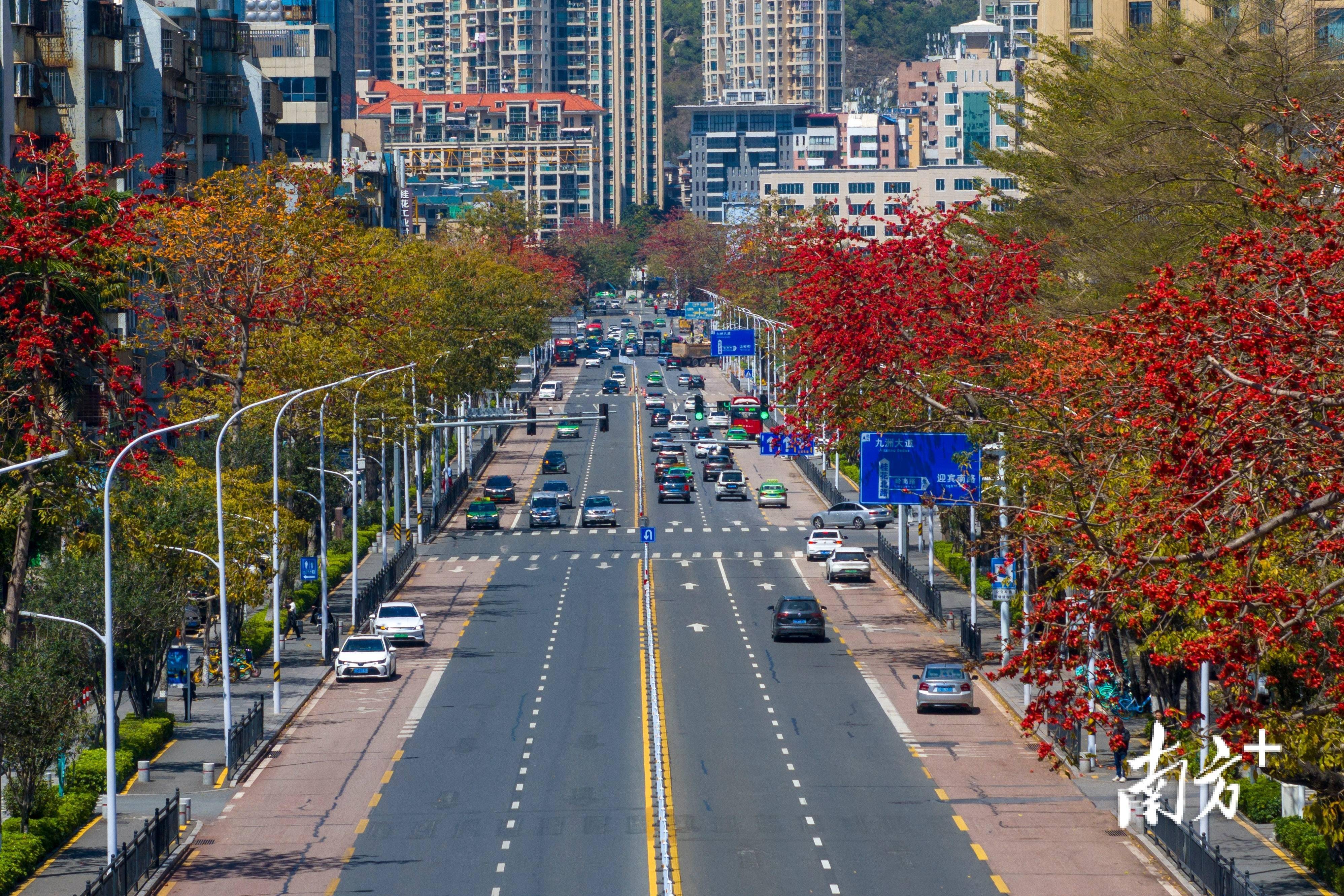 春天里的珠海别样红