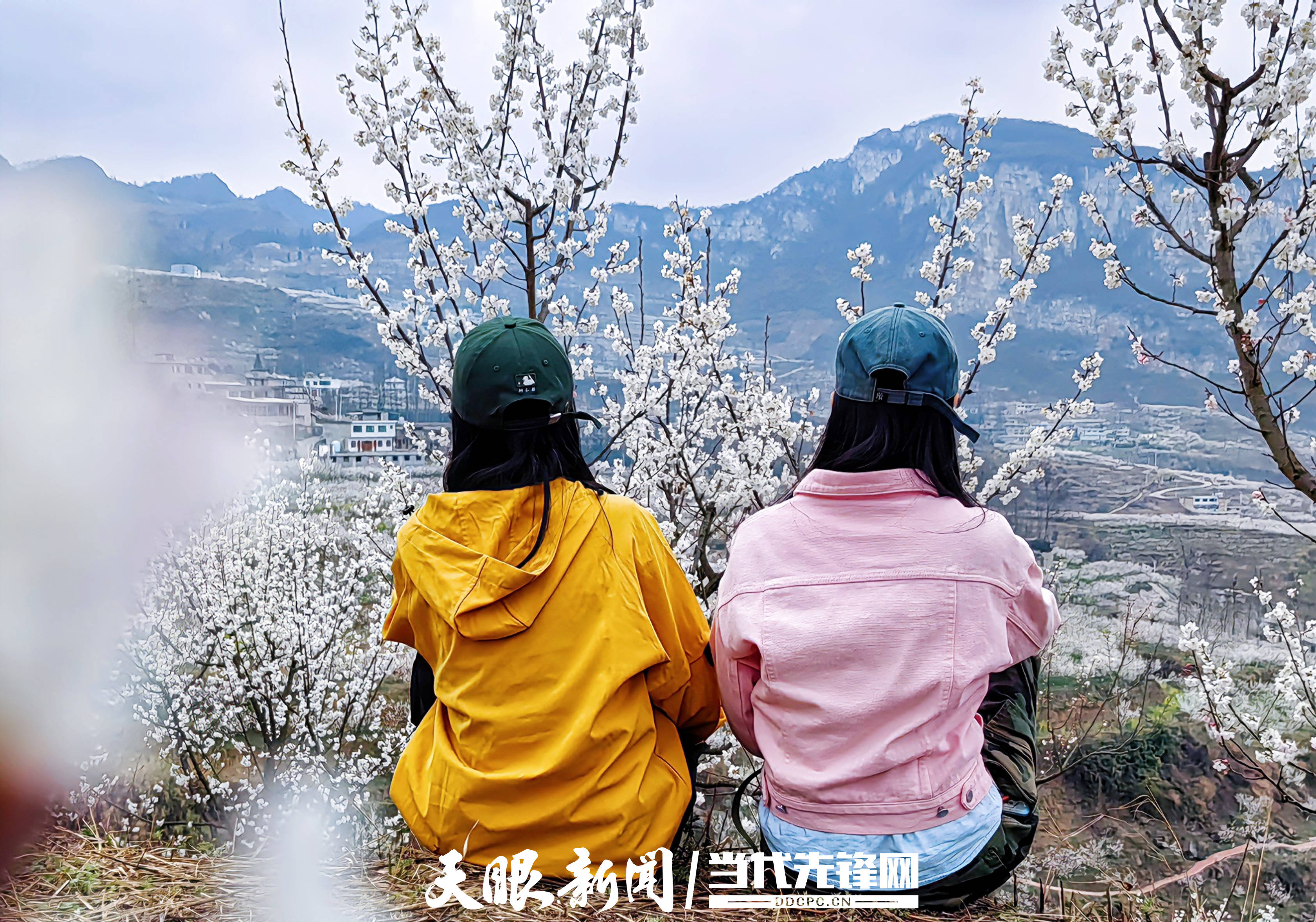 织金县马场镇有花香有幸福