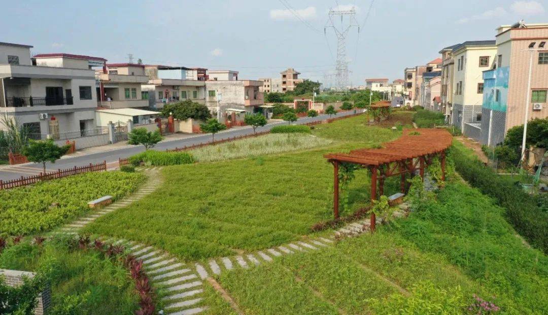 石湾镇致全镇人民的倡议书促进人居环境整治