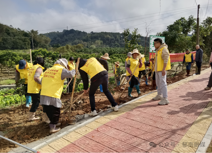聚焦百县千镇万村高质量发展工程丨郁南不负春光植绿正当时
