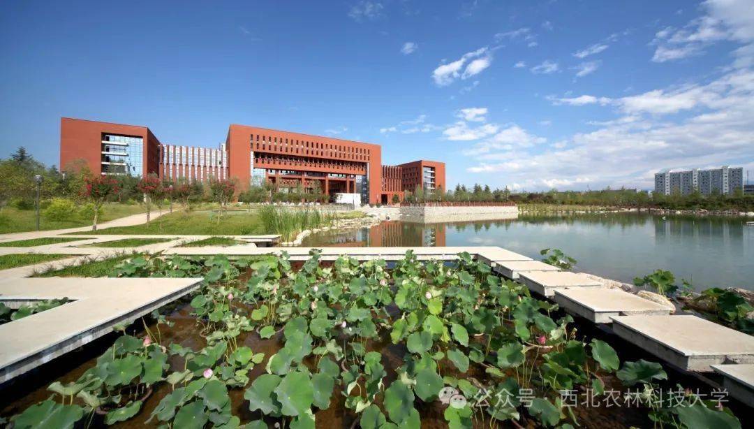 校园_绿化_活动