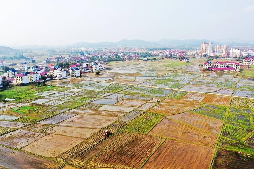 江西东乡翻田备耕忙不负好时光