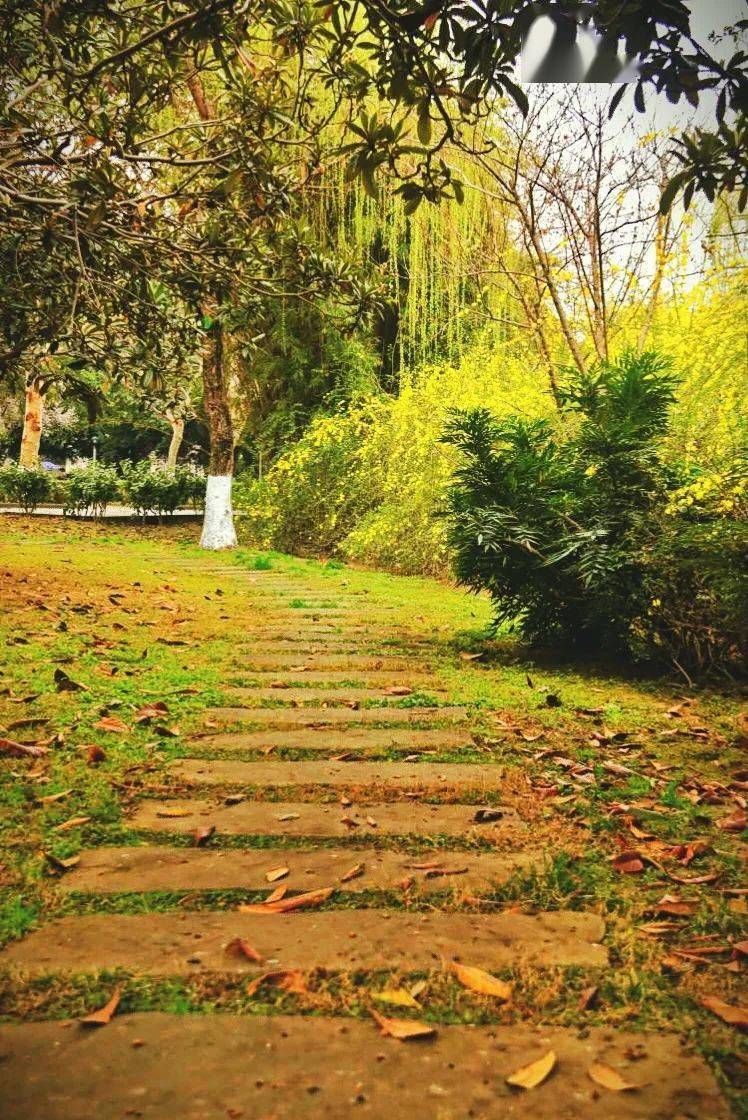 绿意盎然植树节至