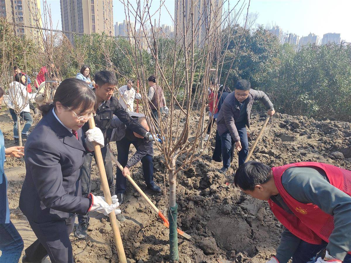 冶金街道深耕綠意共築綠色家園新篇章