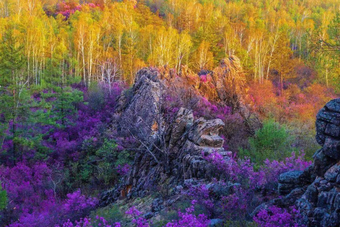 心体验龙年去松岭有龙的地方