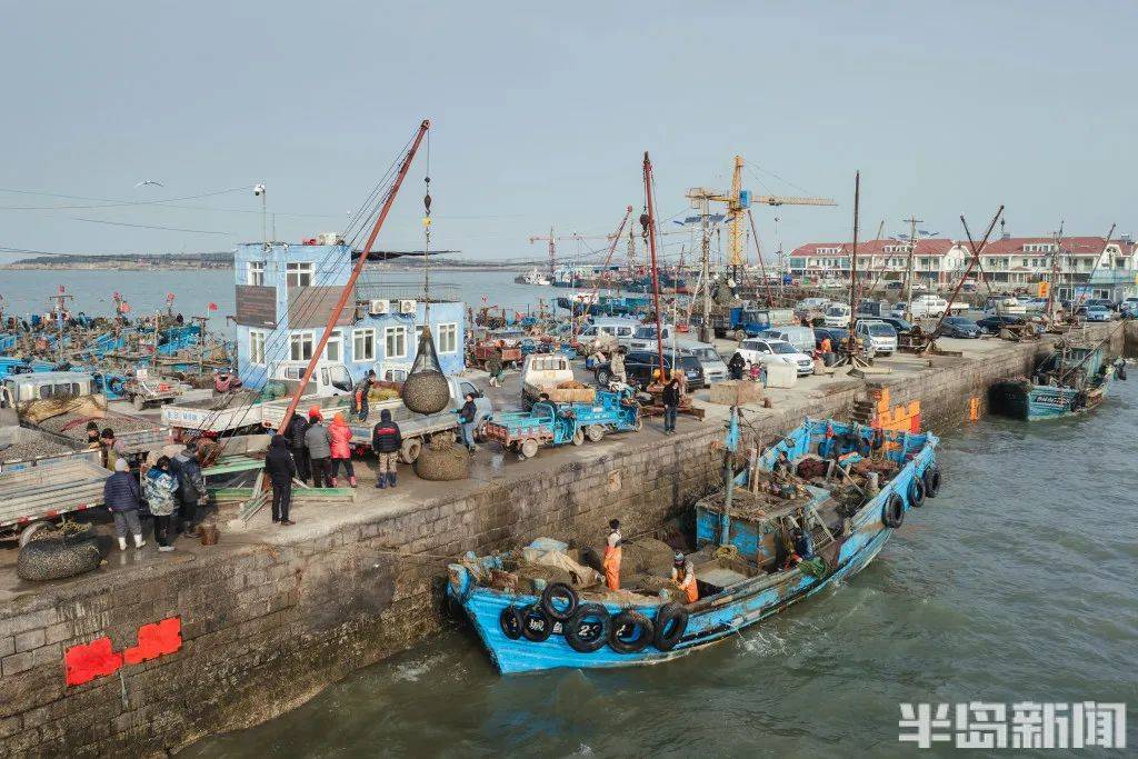 你好青岛丨阳性夫妻双双被拘警方通报钟某某男31岁已被控制