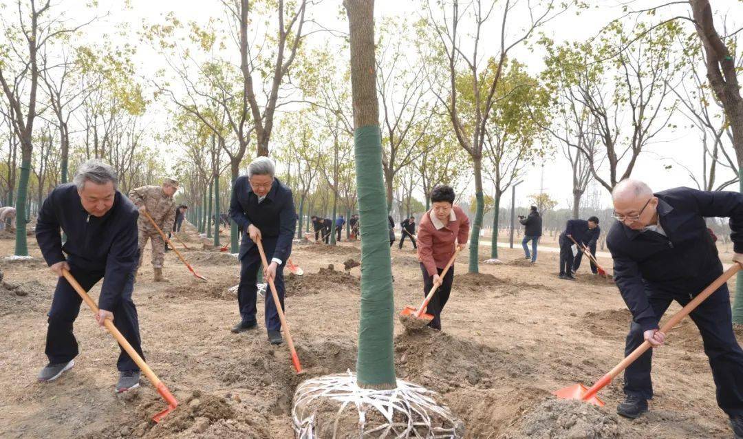 市四套班子领导参加义务植树活动