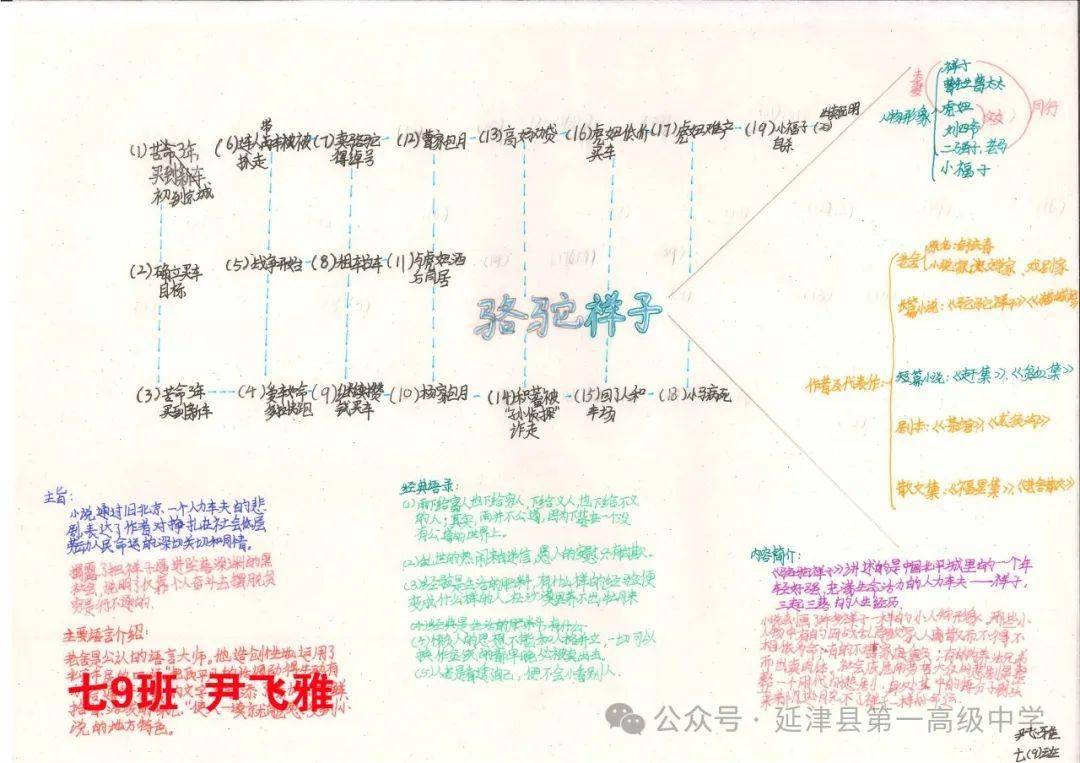 虎妞的思维导图怎么画图片