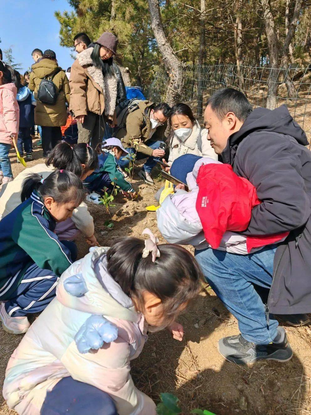 五彩童年全环境立德树人春风拂绿童心植树梦想起航一年级6班雅轩班