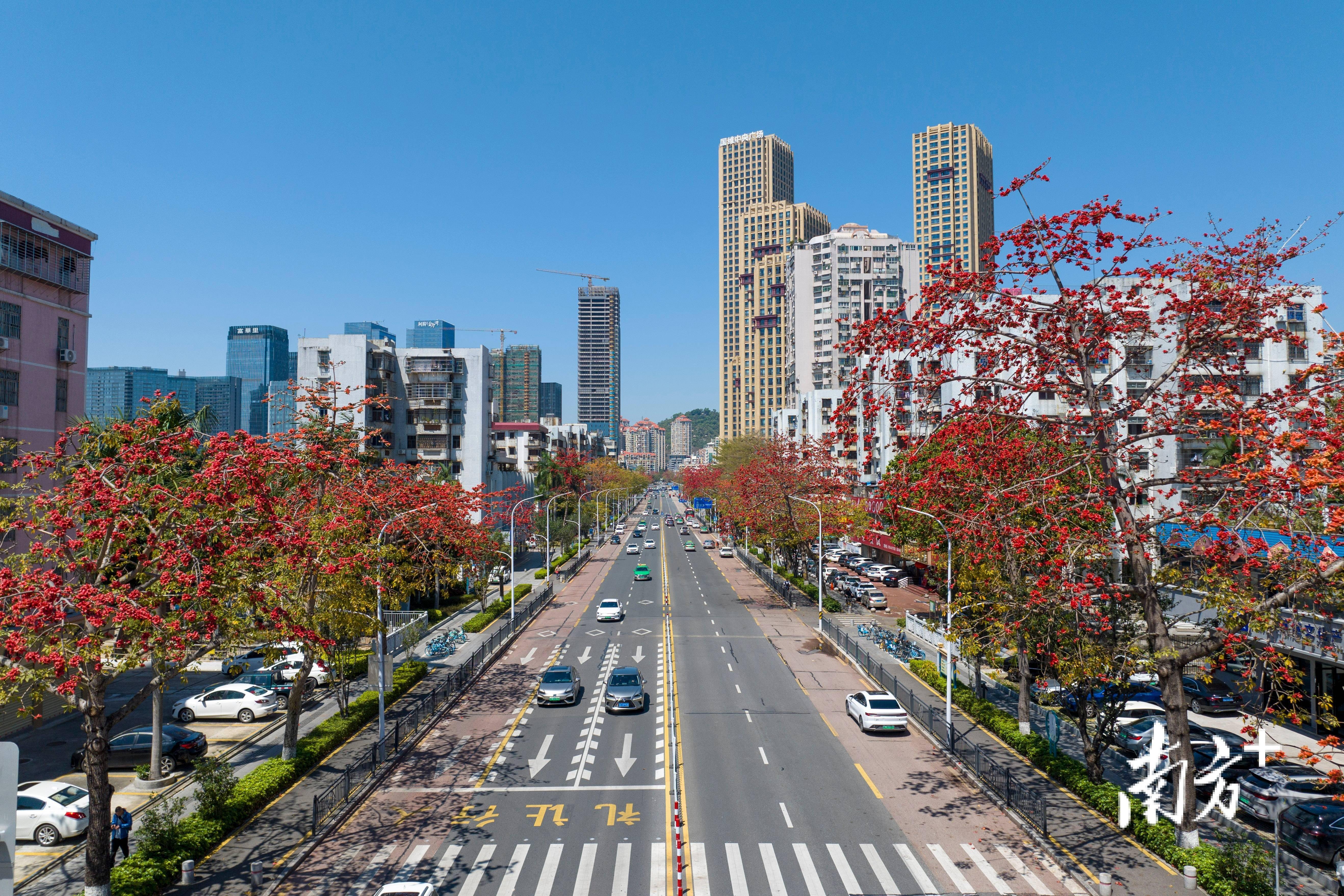 春天里的珠海别样红