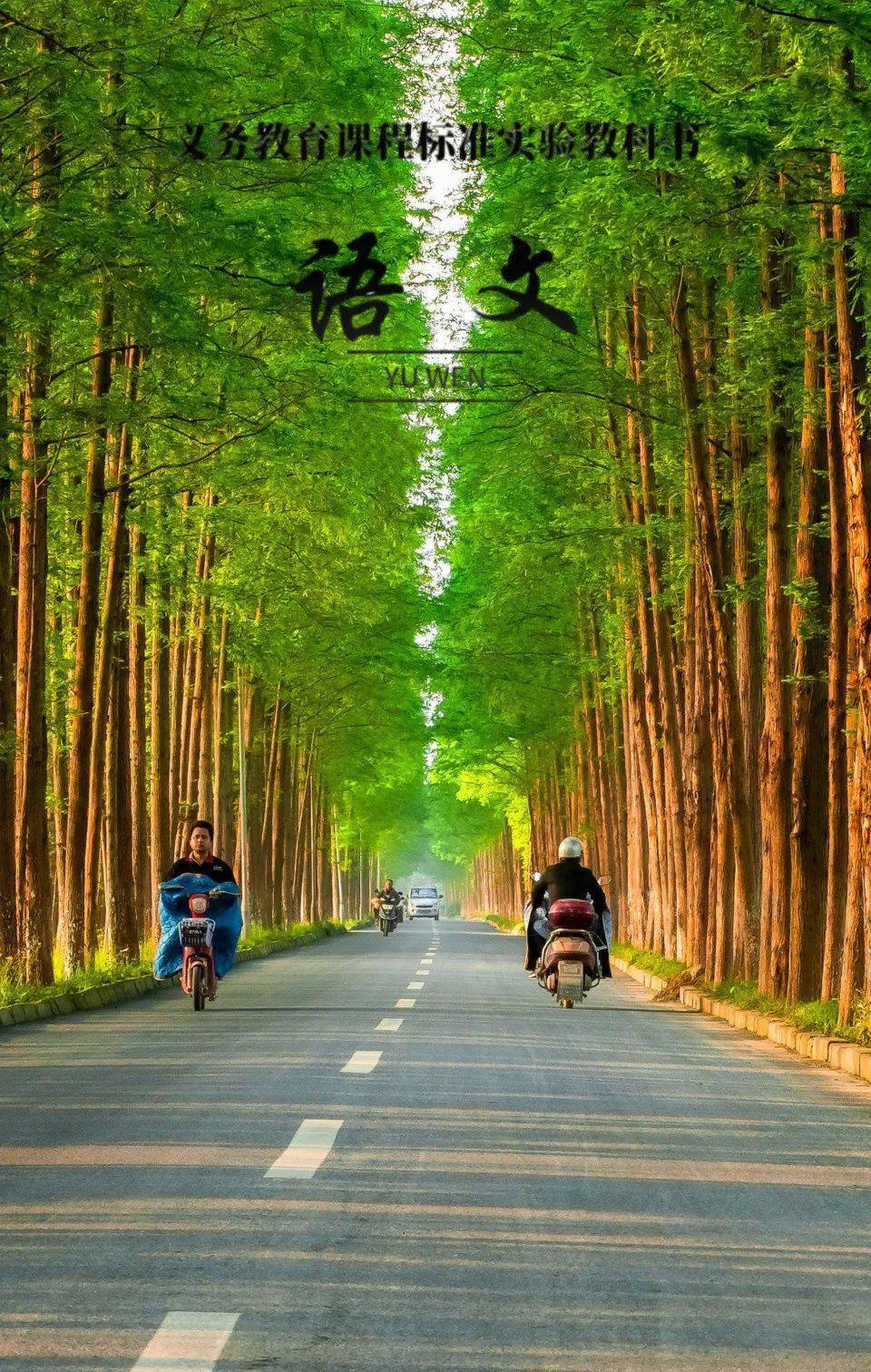 神往仿佛从书本中翩然跃出遇上语文课本封面一张张江南科技城美景锦绣