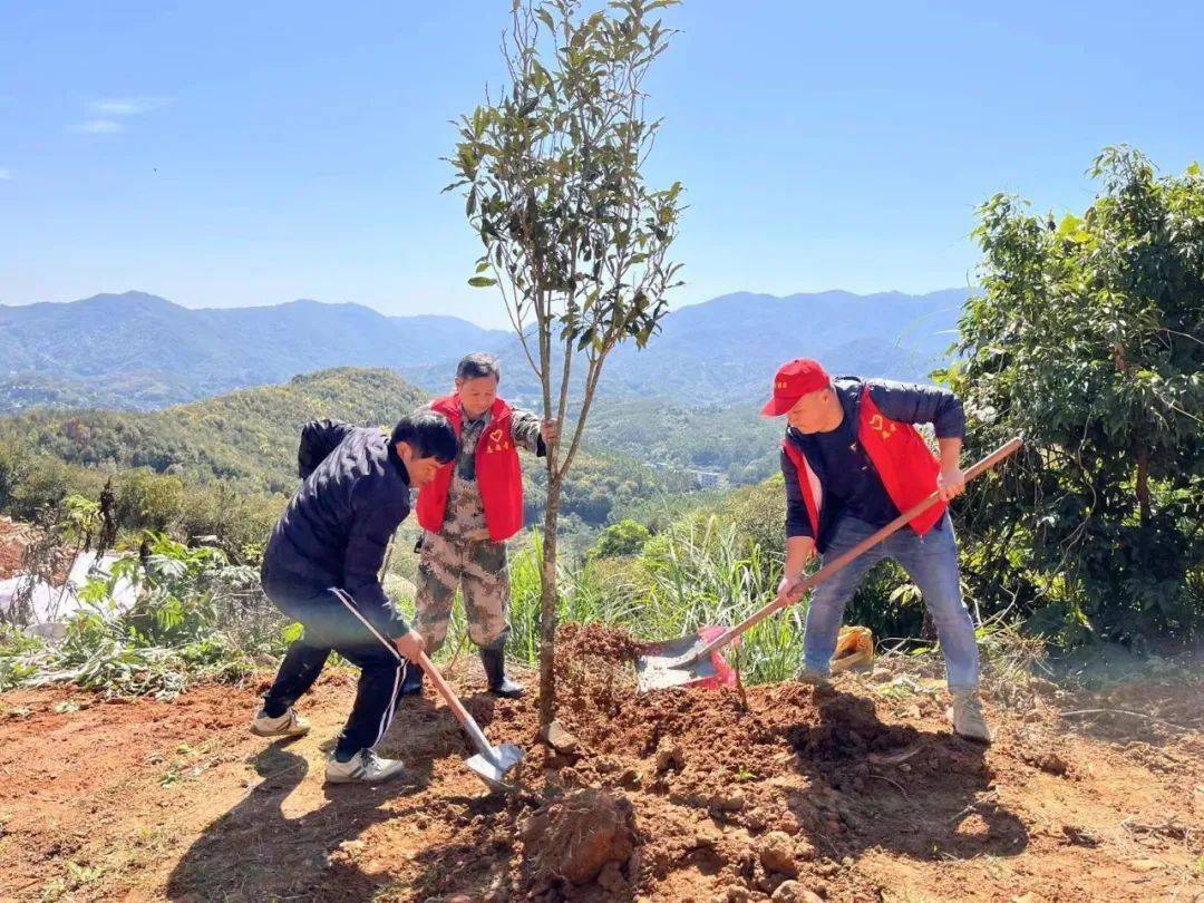 植树造林添新绿东田镇开展义务植树活动