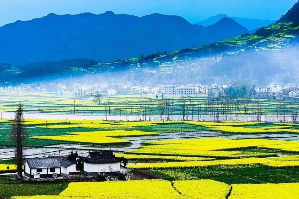 莫辜负大好春光!_桃花_漫山遍野_杏花