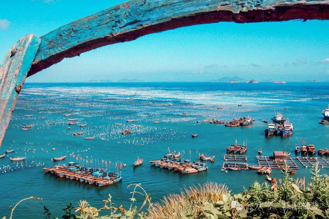 嵊泗三月最美赏春攻略不止看海哦