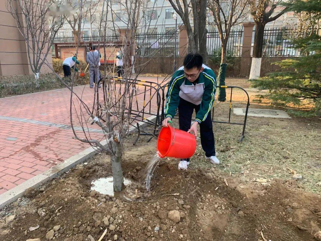 昨天他们和丰收做好了约定