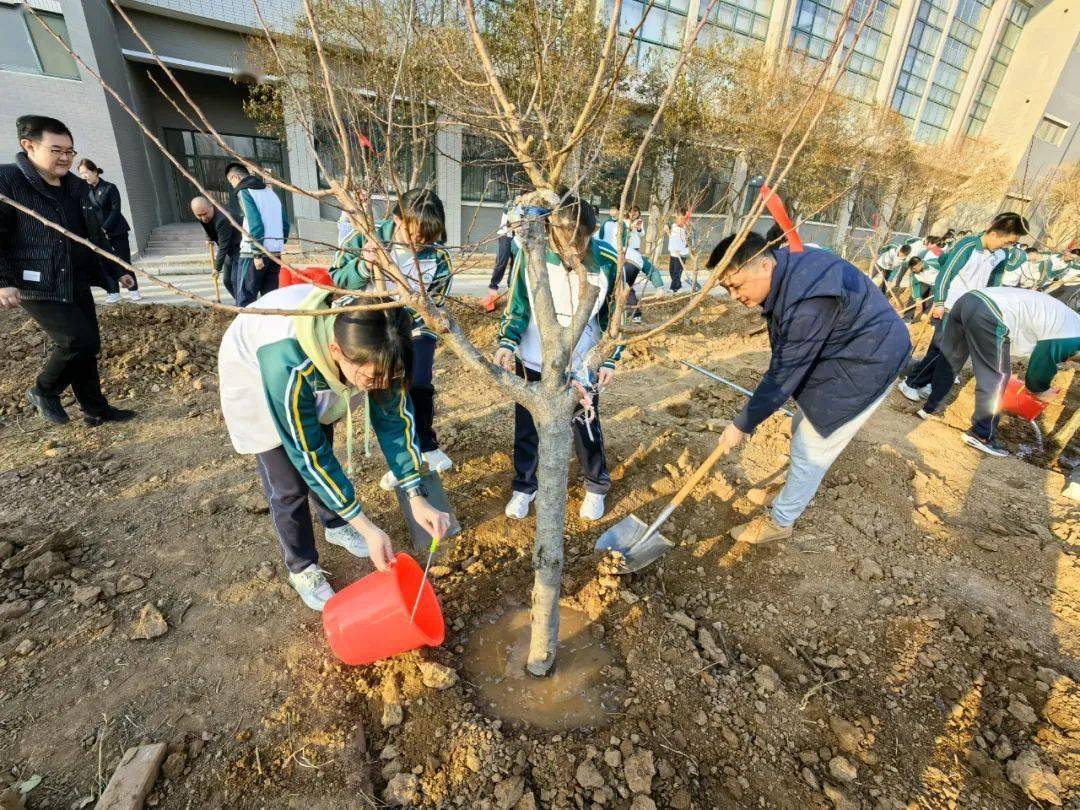 昨天他们和丰收做好了约定