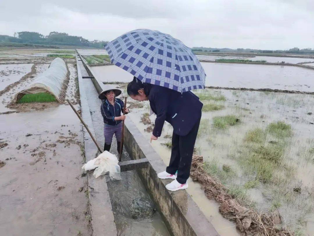 走进基层陆斡镇澄泰乡人大代表助力春耕有序开展