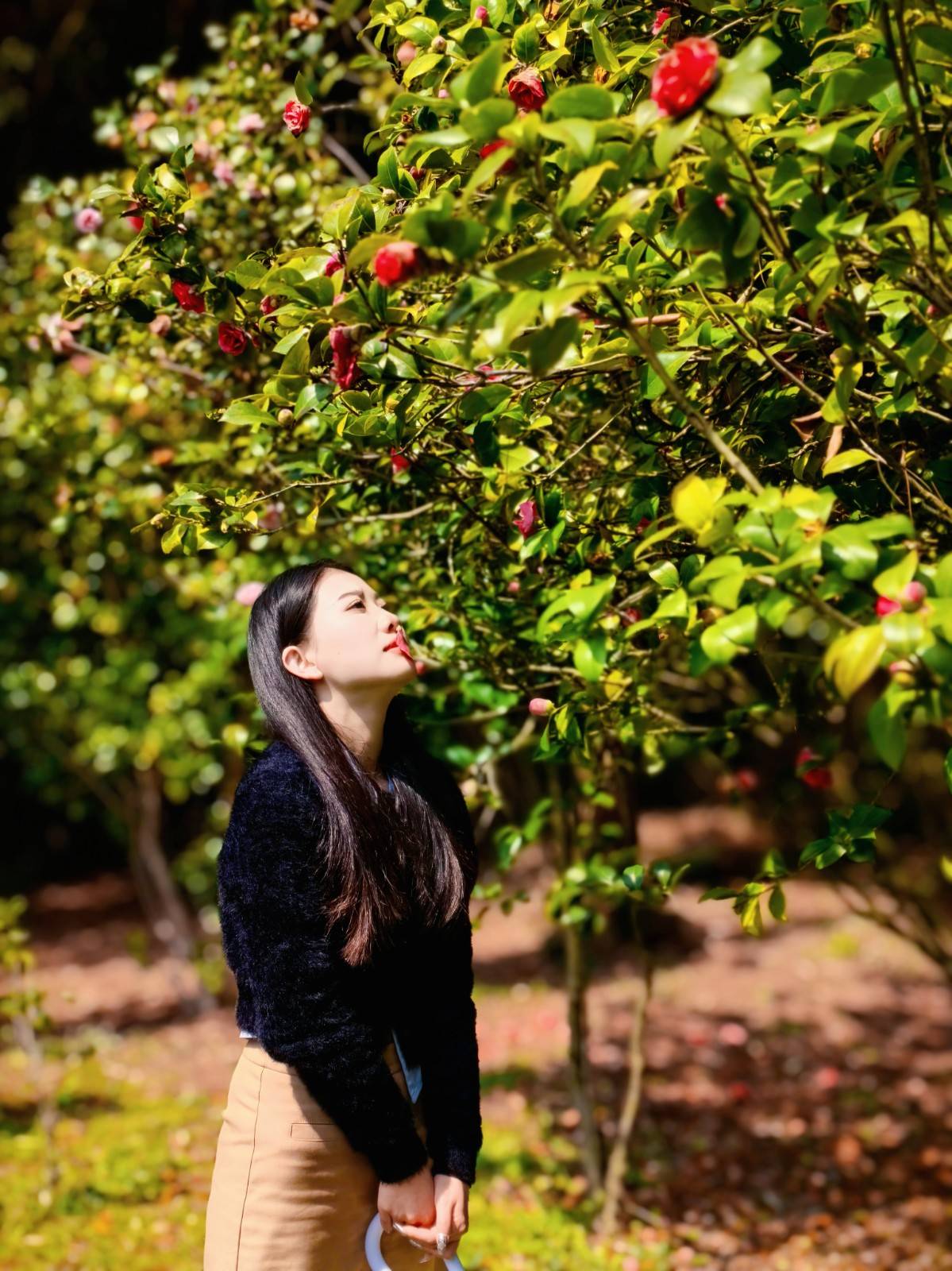 即刻启程到贵阳药用植物园寻找春天的故事