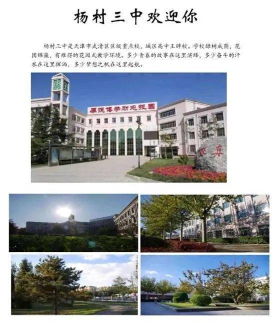 杨村第三中学图片