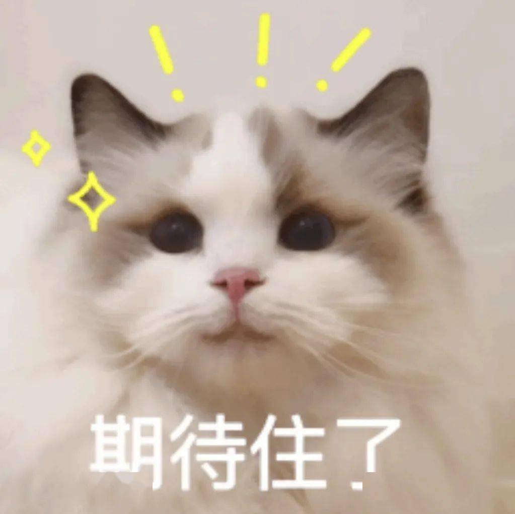 南中城际站站游香山站链接世界的中山门户
