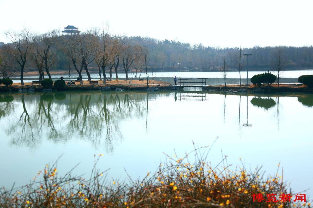 淄博红莲湖一日游图片