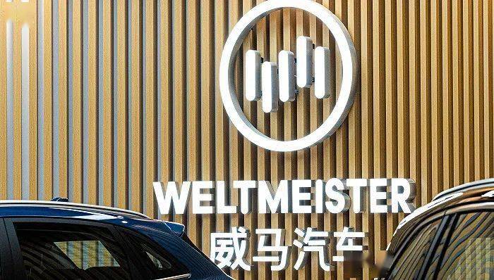 威马汽车申请破产重整后,10万车主售后问题悬置_搜狐汽车_搜狐网