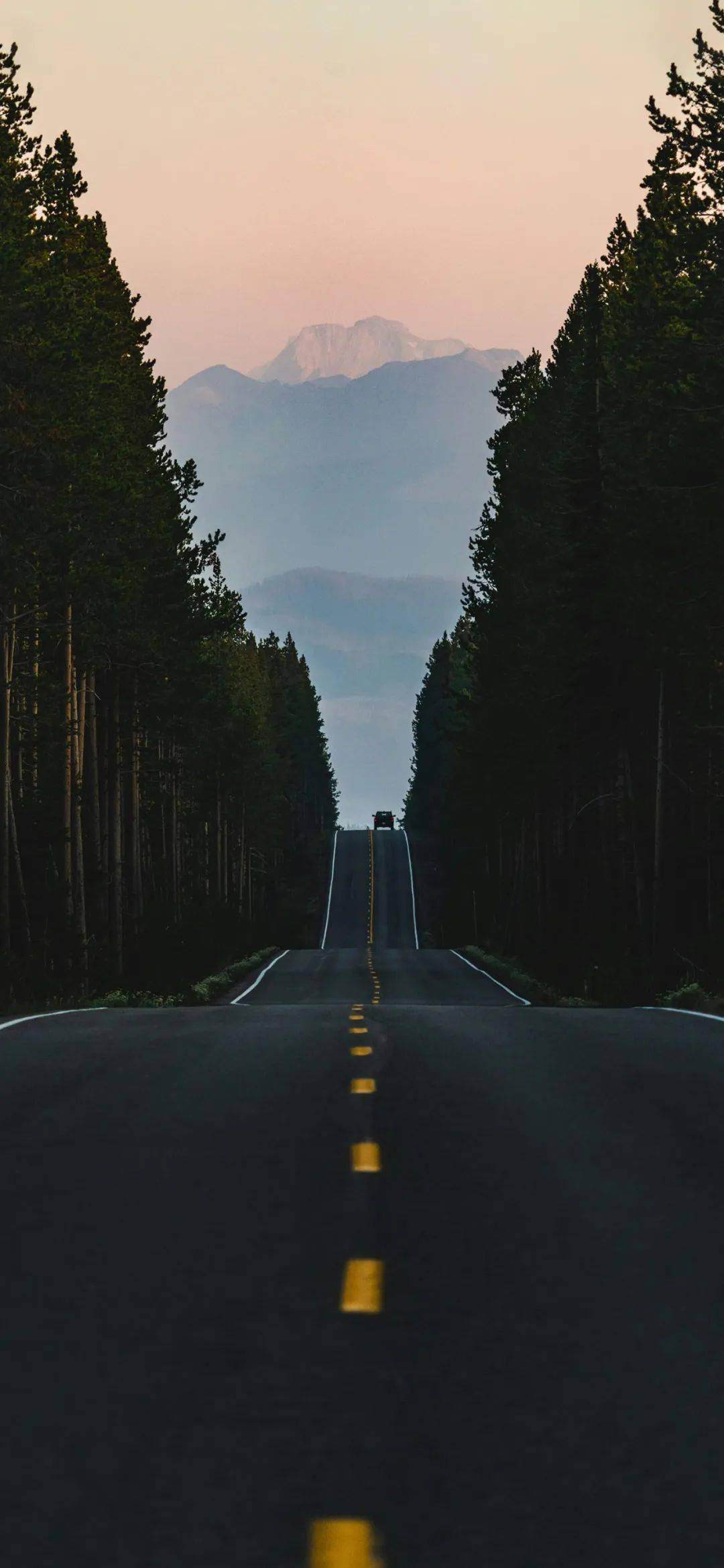 14 | 小头像 壁纸_目光_原地_格局