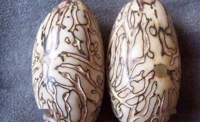 去了皮之后就是市场上卖的千眼菩提子的原籽了,在很多地方现场打磨