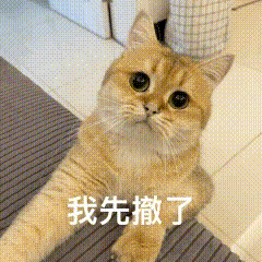 别以为我不敢打你丨第942期喵表情包