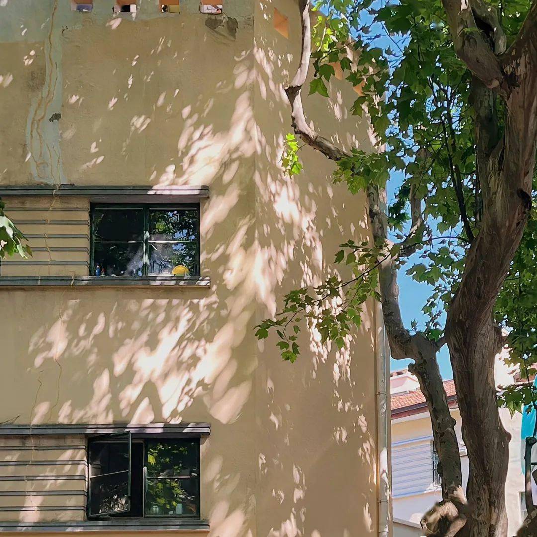 背景|风格小众背景图