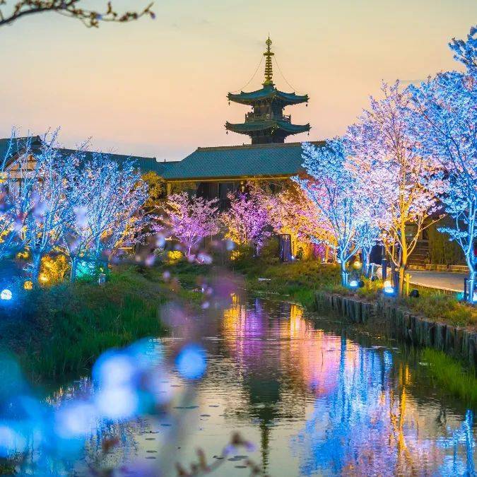 3月16日起无锡市民特惠赏樱拈花湾带你看家门口的粉色花海