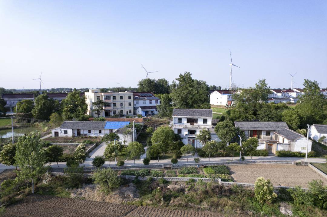 首季争优大仪镇深入打好净土保卫战