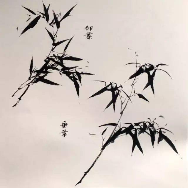变化_画面_竹叶