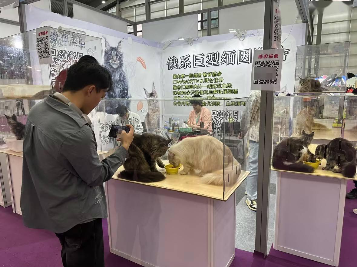 第11届中国(深圳)国际宠物用品展览会开幕 宠物行业供需两旺