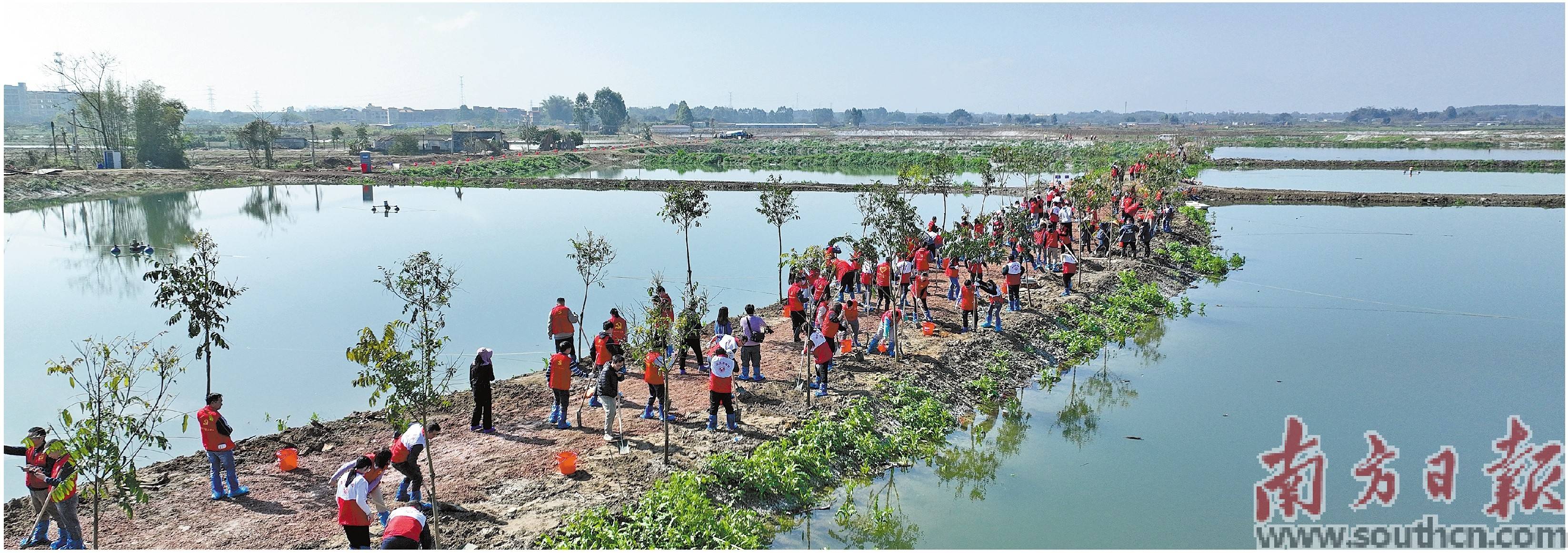 环境提质增绿 全民爱绿护绿_活动_四会市_绿化