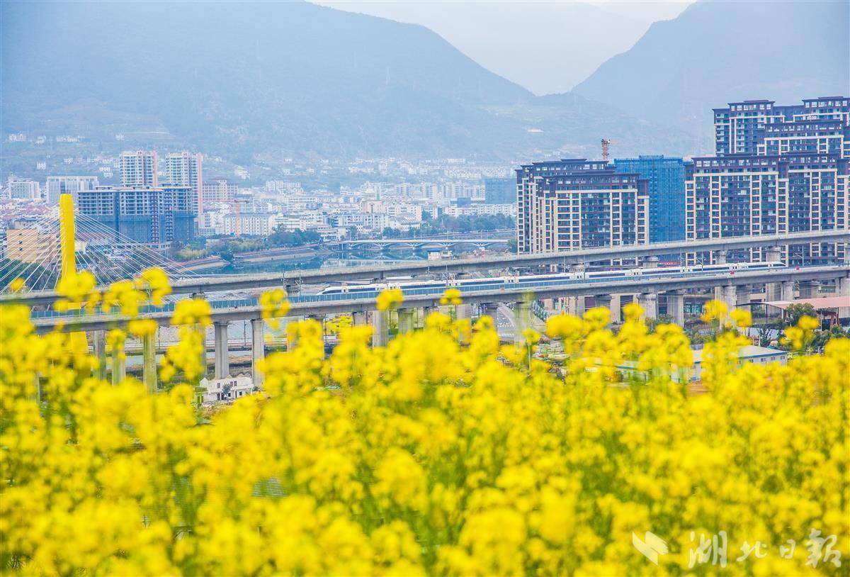 高铁穿行兴山沿途春和景明