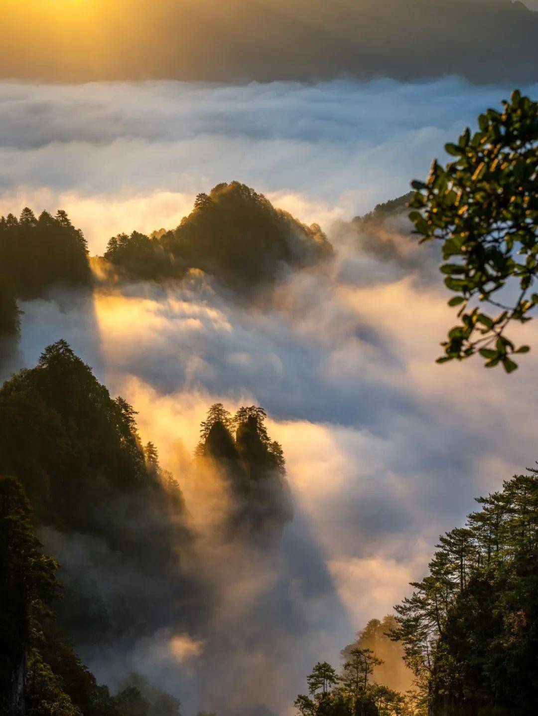 光雾山风景区的春天图片