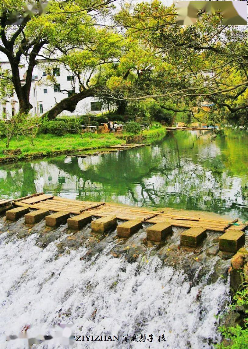 春游江南远离喧嚣的晓起