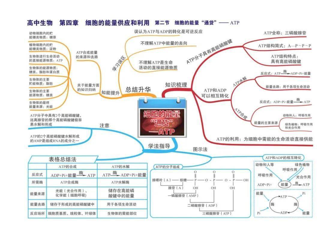 生命体征的思维导图图片