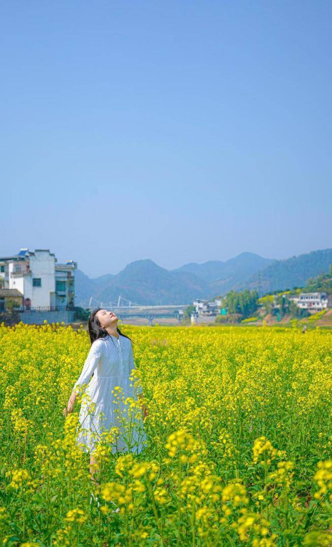 超出片山水画廊初春油菜花海美到你的朋友圈丨来徽州上春山丨春游江淮