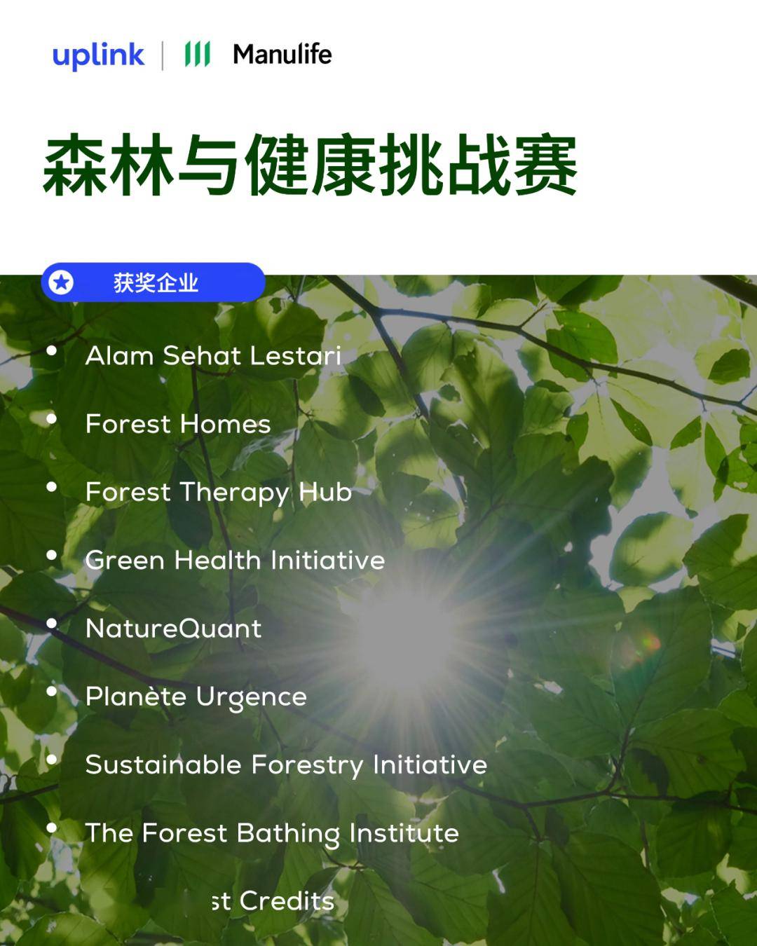 这21个创新企业正在推进可持续森林管理的实现