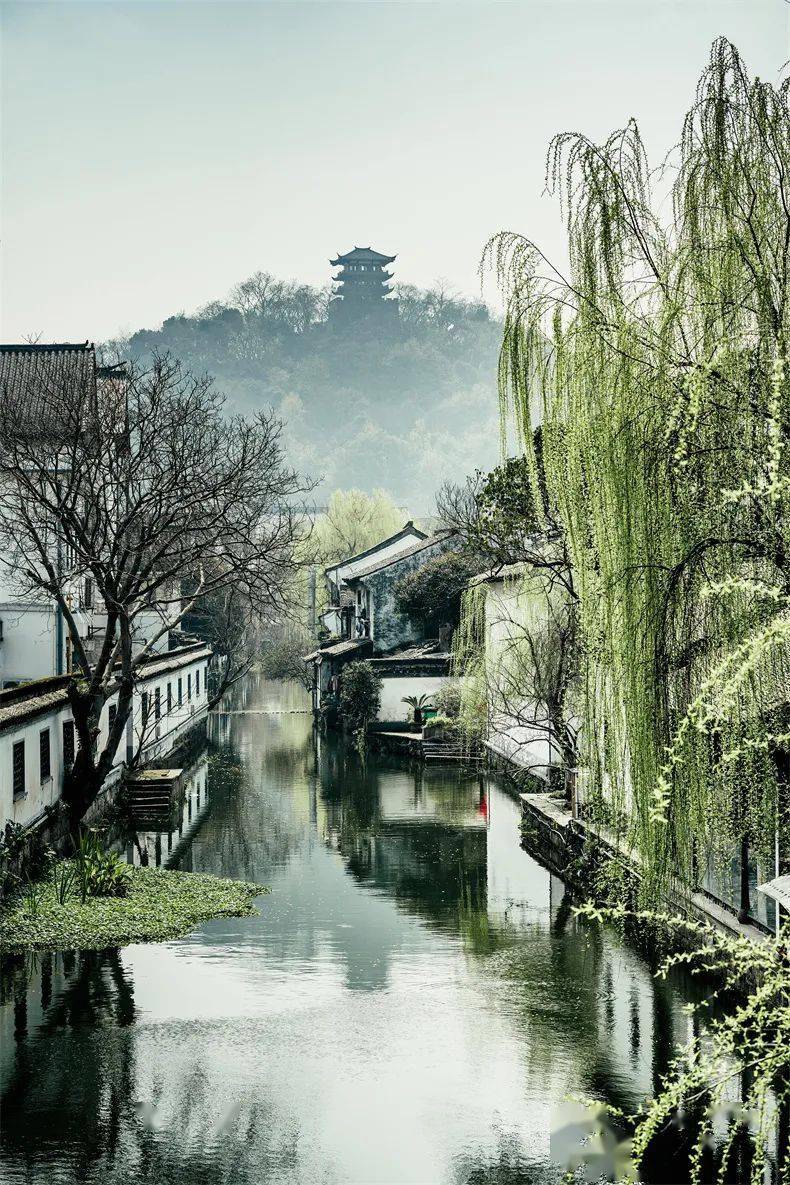 11个绝美目的地,满城花开美食遍地,正合适去玩3天_坐标_洛阳_扬州