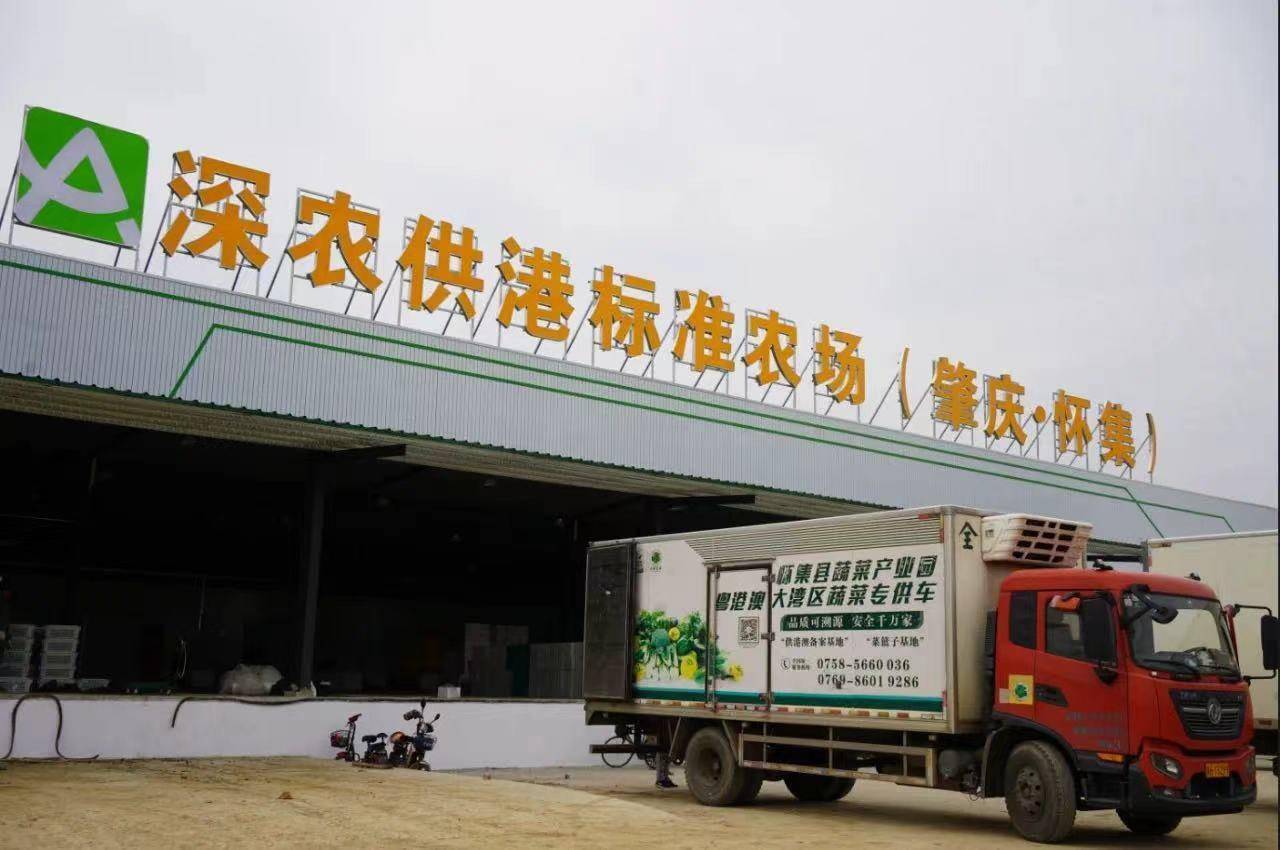 深读七大工程如何助推肇庆现代农业冲刺千亿