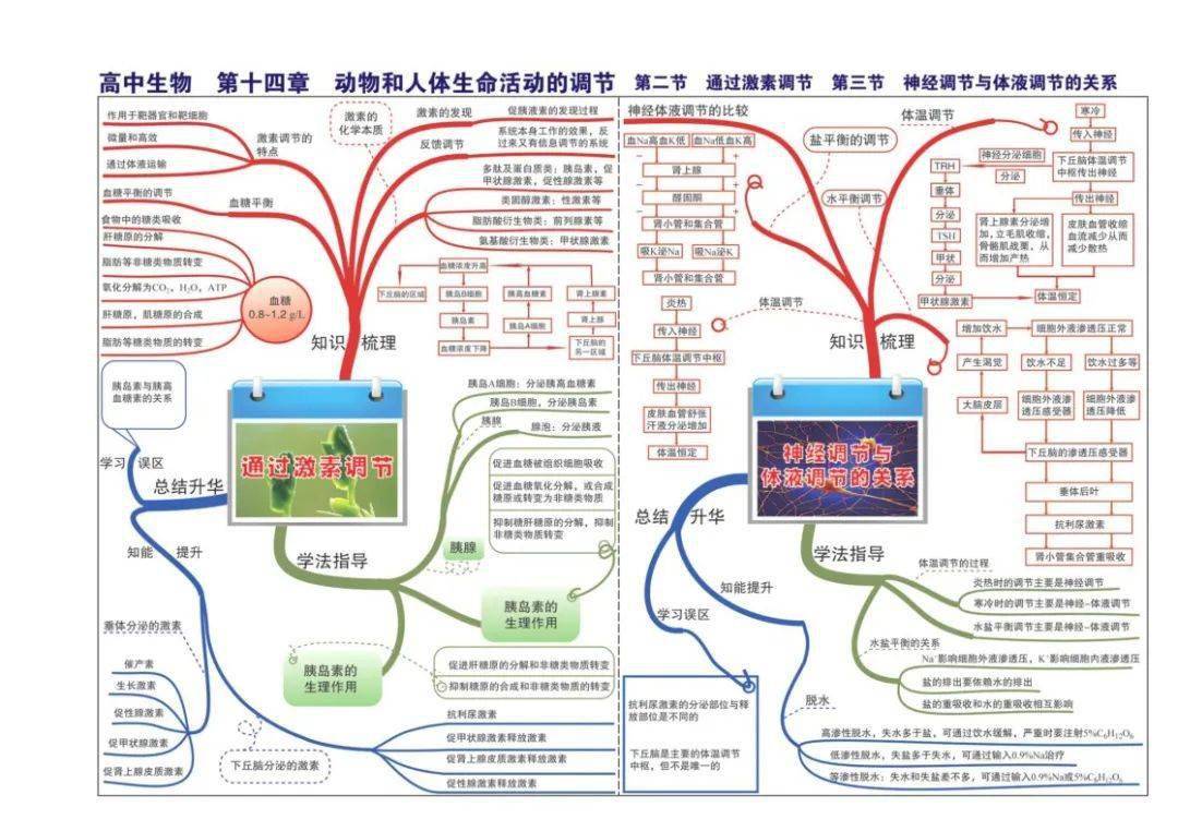 生命体征的思维导图图片